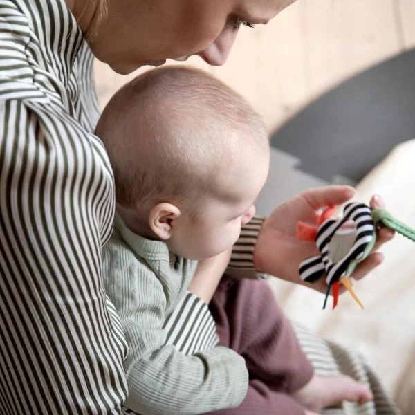 Sebra Activiteitenrammelaar Met Spiegeltje 5 Sebra Activiteitenrammelaar Met Spiegeltje - Afbeelding 3